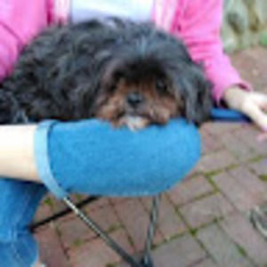 Meet your Posher, Diane